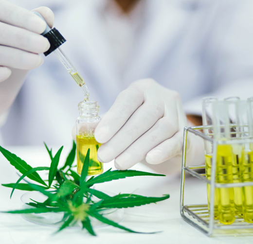 The Benefits of Combining CBD with THC for Wellness