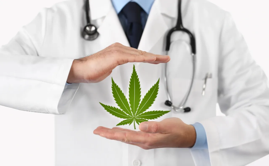 Study Finds Covid-19 Virus Can Be Prevented by Cannabis Compounds