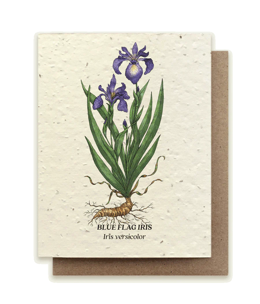 plantable greeting cards