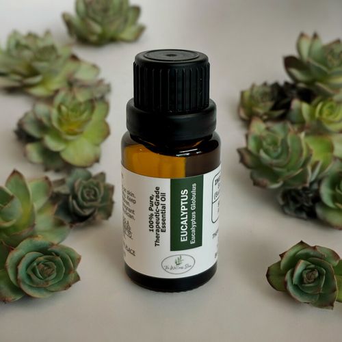 Eucalyptus Globulus Essential Oil