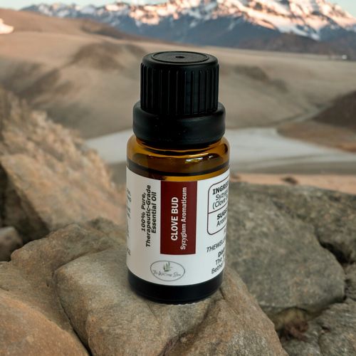 Clove Bud Essential Oil