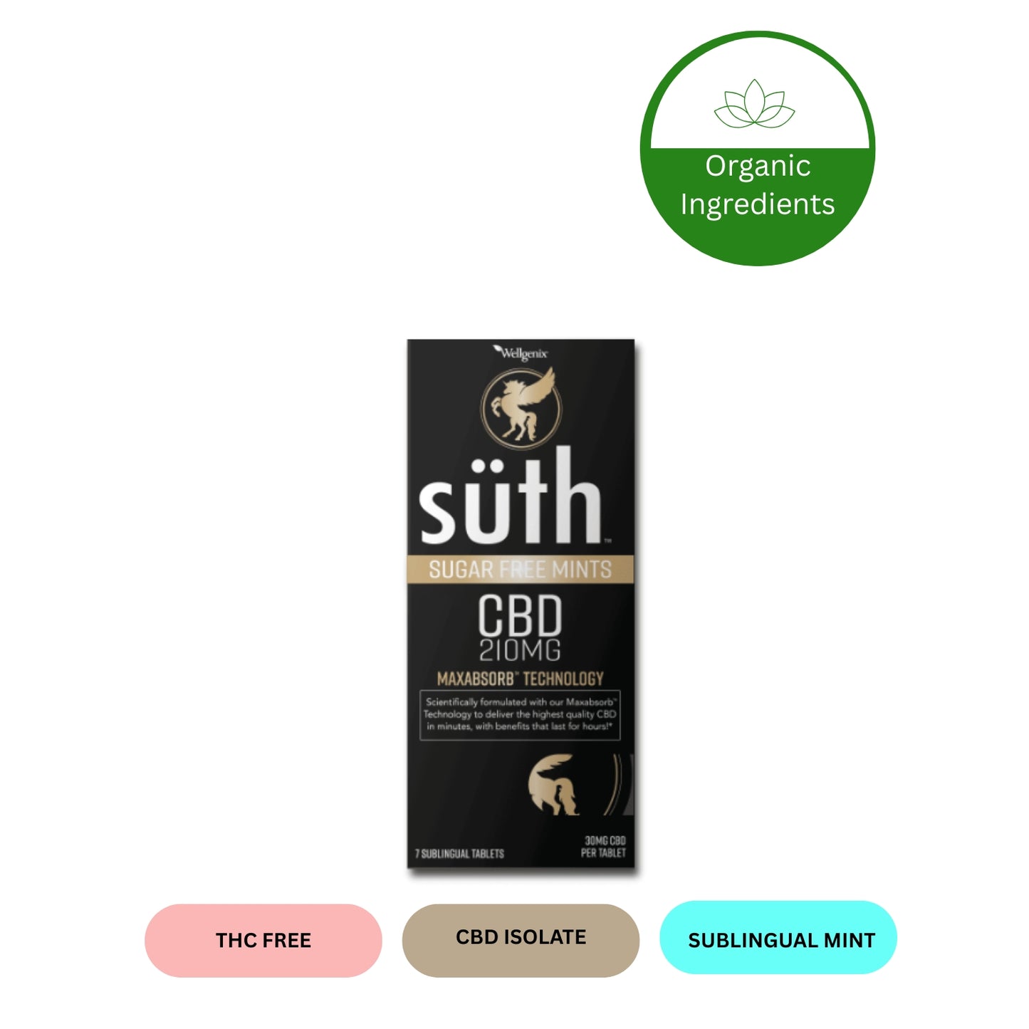 Premium CBD Mints 900mg – Discreet, Fast-Acting Relief & Relaxation