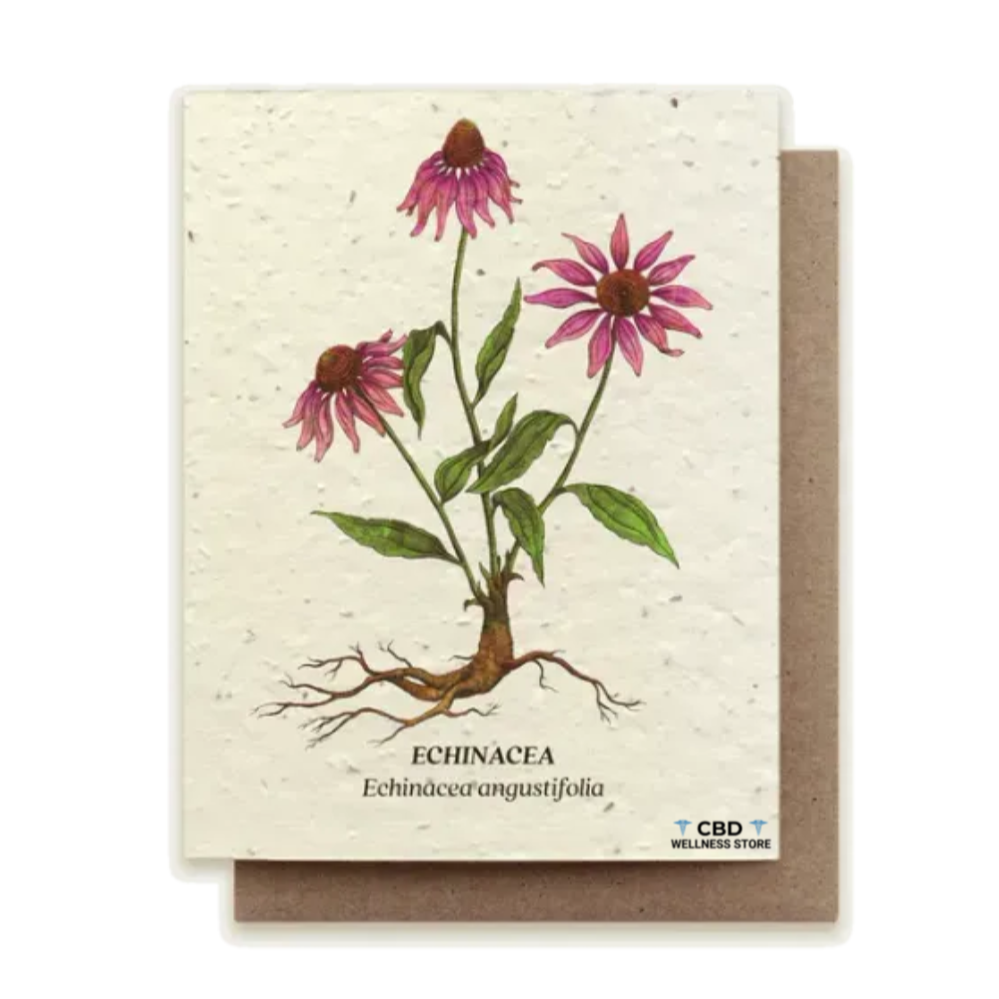 Echinacea - Plantable Wildflower Seed Card