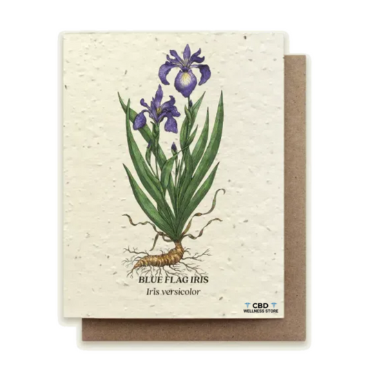 Blue Flag Iris Plantable Wildflower Seed Card