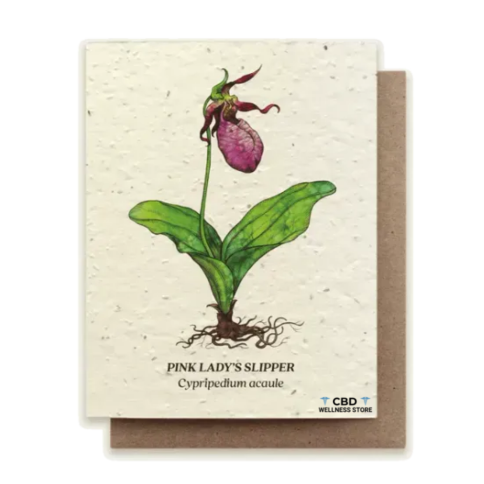 Lady's Slipper - Plantable Wildflower Seed Card